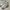 Nike Air Force 1 AF1 White Yellow Fontaka (No box,  ✔️ nego) photo 1