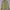 POLO RALPH LAUREN HARRINGTON JACKET - Soft Yellow photo 2