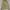POLO RALPH LAUREN HARRINGTON JACKET - Soft Yellow photo 1