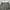 cargo camo photo 7