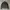 Leather Jacket Biker Ramones Brand Fudge Store photo 3
