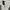 Adidas Three Stripes photo 3