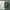 Vintage Y2K Casual Pants Pria Green White