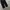 Hotping one tuck wide pants photo 5