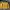 POLO BHPC Yellow Windbreaker – USA Vintage Style Jacket 