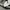 Carhartt Vintage Streetwear Pria gray photo 7