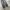 Maison demande carpenter pants photo 6