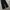 Draw fit two tuck wide pants photo 5