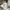 sessler mfg co mans  catton ut type 1 classic 1 trousers pan photo 6
