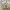 sessler mfg co mans  catton ut type 1 classic 1 trousers pan photo 2