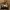 Andre Valentino Minimalist Casual Shoulder bag Wanita tan black photo 4