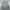 Lowrys farm cardigan free size H067 photo 5