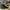 LOUIS VUITTON TATTO SNEAKER BOOT FOREVER  , LOUIS VUITTON TA photo 3