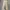 Mango Luxury Flare pants Wanita tan photo 4