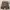Celana pendek cargo levis carhartt dickies photo 1