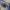 VANQUISH Tokyo Japan Trucker Denim Jacket photo 6