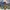Kaos Event Veterans Day On The Delta 2019  Tshirt T-Shirt Ba photo 3
