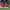 Air jordan retro 1 mid reverse banned photo 2