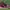 Air jordan retro 1 mid reverse banned photo 3