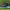 Air jordan ultrafly vintage 2016 photo 1