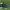 Air jordan ultrafly vintage 2016 photo 3