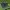 Air jordan ultrafly vintage 2016 photo 4