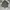 Sweater Nicole Morrison Half Zip Stripe photo 4