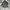 Sweater Nicole Morrison Half Zip Stripe photo 1