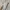 UNIQLO Women's  Cardigan Knitted Short Jacket in Off White photo 6