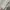 UNIQLO HOODIE COTTON OVERSIZE BROKEN WHITE photo 3