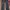 AMI PARIS Carpenter Pants photo 2