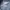 Polham Vintage Casual T-shirt Pria gray photo 4