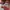 VANS Skater Casual Sneakers Pria burgundy white photo 4
