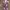 Dress Pantaii, free Random  photo 1