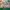 Adidas Yeezy 500 Bone White photo 1