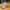 Adidas Yeezy 500 Bone White photo 2