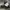 SKATE SHOES VANS BULKY LASEK photo 1