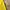 Spao Streetwear Indie T-shirt Pria yellow photo 3