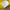 Spao Streetwear Indie T-shirt Pria yellow photo 4