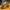 Nike Air Jordan 11 Low Navy Snakeskin photo 5