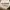 Nike Air Jordan 11 Low Navy Snakeskin photo 7