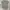 Dior Vintage Luxury T-shirt Pria gray photo 1