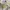 Lolita Midi dress Wanita white photo 5