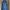 no brand photo 1