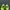 Nike Streetwear Sportswear Sneakers Pria green photo 3