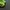 Nike Streetwear Sportswear Sneakers Pria green photo 4