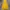Y2K Skater Hoody Pria yellow photo 8