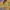 Y2K Skater Hoody Pria yellow photo 5