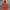 Noah Y2K Skater Hoody Pria multicolor photo 1
