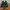 Under Armour Sportswear Casual Sneakers Pria green orange photo 4